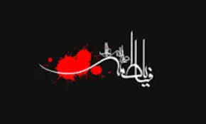 تجمع بزرگ فاطمیون در میدان شهید طهرانی مقدم برگزار می شود

