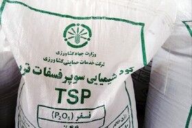 تولیدکنندگان داخلی نیاز به حمایت دارند

