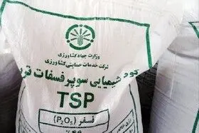 تولیدکنندگان داخلی نیاز به حمایت دارند