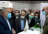 تکمیل و راه اندازی پروژه های ذوب آهن طبق برنامه زمان بندی