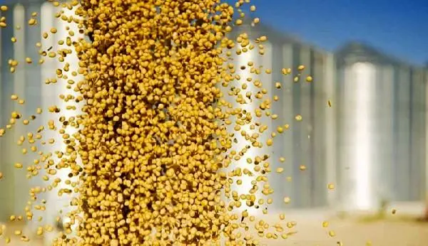 احداث کارخانه 20 هزار تنی خوراک دام و طیور با حمایت بانک کشاورزی در استان خوزستان