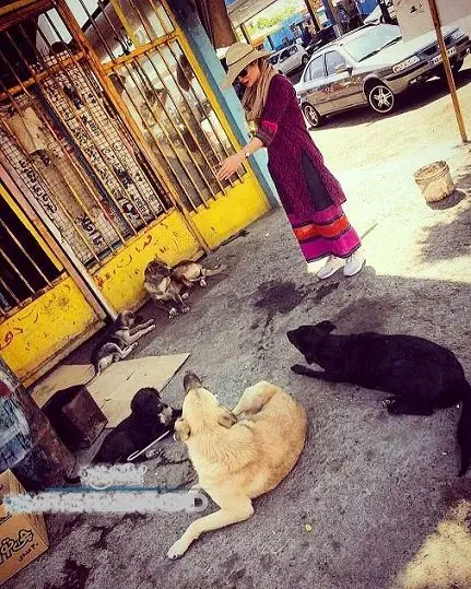 لباس های خاص و متفاوت خانم بازیگر درکنار سگ ها+عکس
