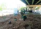 بهسازی و آرام سازی میدان بخشنده منطقه 19در قالب طرح « من شهردارم دو »