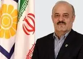 تجربه‌ی یک سرمایه‌گذار: چطور با ساخت ویلا در شمال، سود چند برابری گرفتم؟