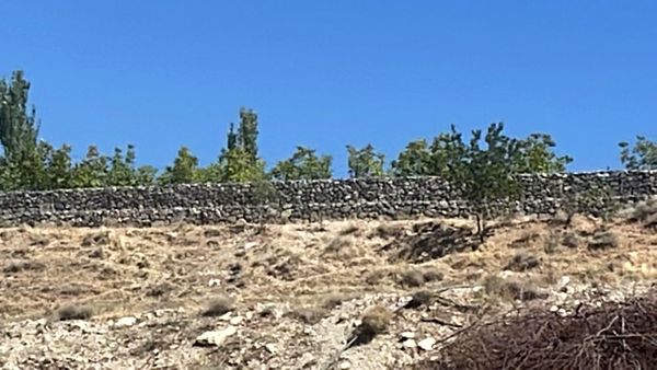 سند قطعی ۱۸۵ هزار مترمربع زمین در سوهانک به شهرداری تهران انتقال یافت

