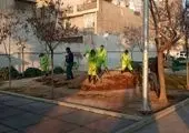 آراستگی محلات منطقه۱۳ با تداوم طرح نگهداشت شهر در سال ۱۴۰۲