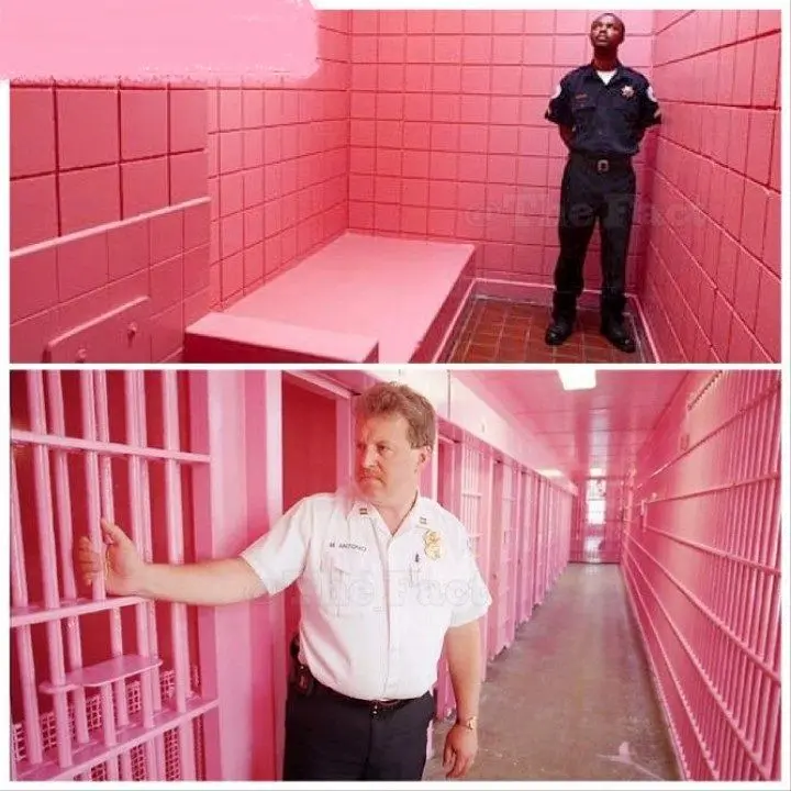 زندان های صورتی سوییس+عکس