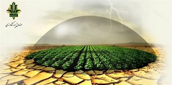 تحقق 50 درصدی پرتفوی ابلاغی صندوق بیمه کشاورزی در پنج ماهه ابتدای سال زراعی جاری
