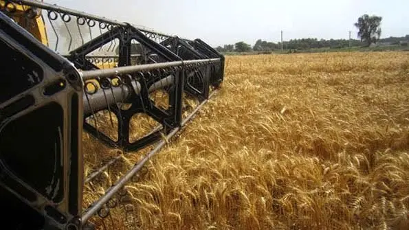 ایران به قطب تولیدات کشاورزی دنیا تبدیل می شود