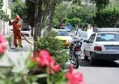 عملیات گسترده رنگ‌آمیزی معابر منطقه۸