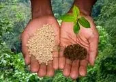 سیستم‌های آبیاری نوین در سطح ۳ هزار و ۵۰۰ هکتار اراضی استان مرکزی در دست اجراست

