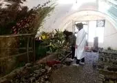 7هزار مترمربع طرح هنری بر دیوارهای مدارس منطقه ۲ نقش بست