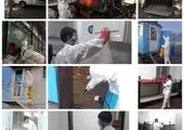 ساماندهی مشاغل آلاینده و زنده گیری سگ های بلاصاحب در منطقه 13 

