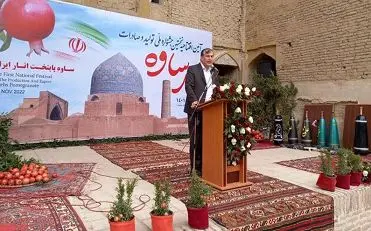 رتبه سوم تولید انار جهان در اختیار ایران است

