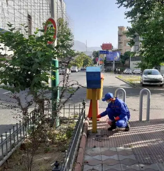 اجرای طرح ضربتی مبارزه با جانوران  موذی در منطقه سه تهران

