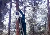 خیابان صفا در منطقه۱۳ با صفا تر می شود

