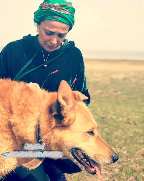 خانم بازیگر و سگ گرگی وحشی که در آغوش دارد+عکس

