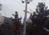  ۶۲ هزار شعله روشنایی در منطقه یک نصب شد 


