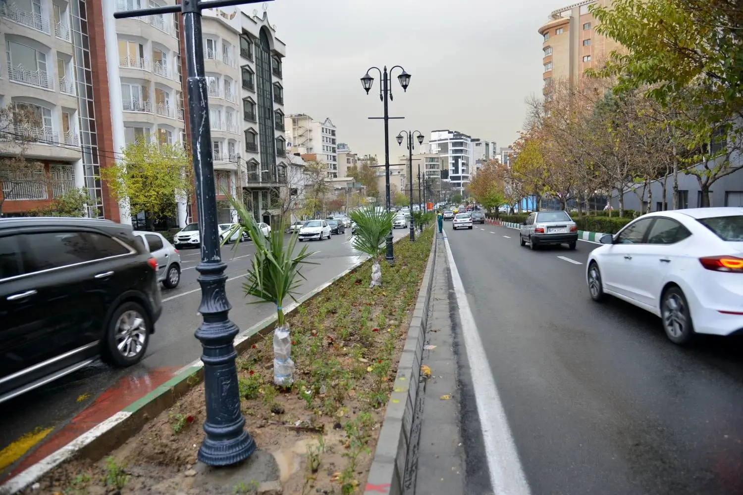 رفیوژ خیابان بدیعی هم سبز شد 