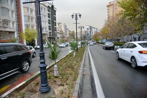 رفیوژ خیابان بدیعی هم سبز شد