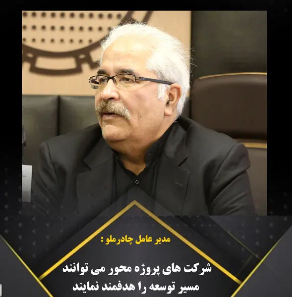 شرکتهای پروژه محور میتوانند مسیر توسعه را هدفمند کنند