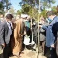 غرس 500 اصله نهال بنام شهدا در قم آغاز شد
