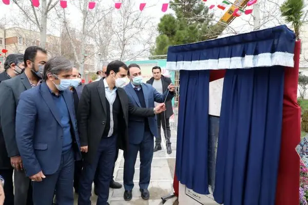 کاشت نخل های کهنسال  به یاد  شهدا در منطقه 13 همزمان با آغاز جشنواره شهید باکری