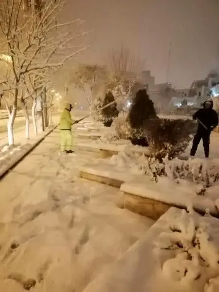 ۴۲۲ نیروی اجرایی مشغول برف تکانی درختان سطح شهر هستند