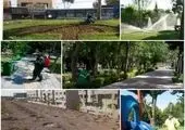 اجرای عملیات علف تراشی در  باغات و جنگل های منطقه دو 