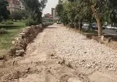  سال قبل سال محیط زیستی بود


