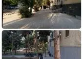 احصا مشکلات محلات در پایش نیازهای محله