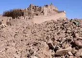 ۵ میلیون مهاجر افغانستانی داریم