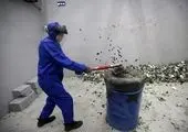 خشم شیر ماده از شیر نر! +عکس