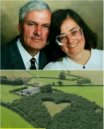 کاشت وسیع درختان شبیه قلب برای یادبود! +عکس