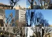  آمادگی شهرداری منطقه۶ برای میزبانی نمازگزاران نماز جمعه در دانشگاه تهران 