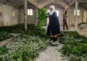 پرونده آمریکا و اروپا روی میز «ایران امروز»

