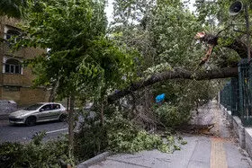 تداوم رگبار و رعد و برق در کشور