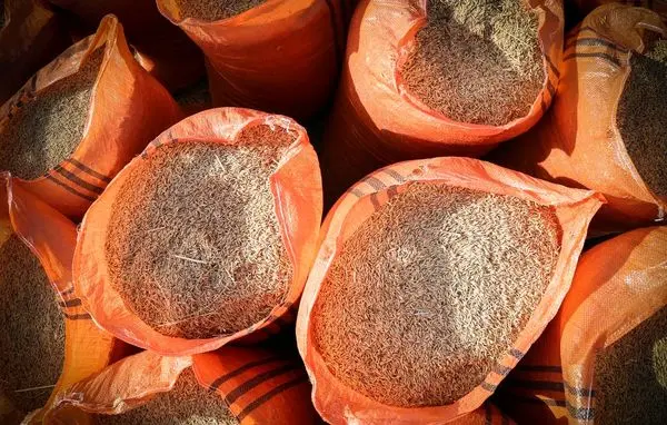 واردات برنج آزاد شد
