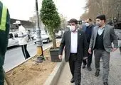 بهسازی محیطی بازارچه شهرستانی در منطقه۱۳ 