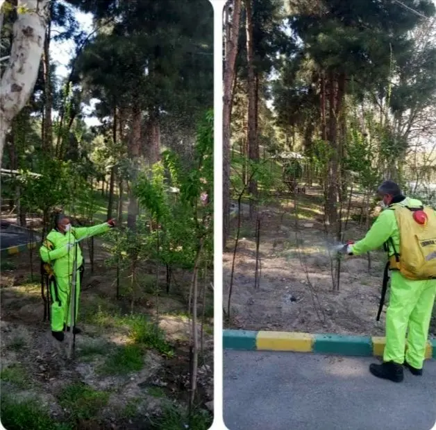 مقابله با آفات در منطقه۱۳ با تمرکز بر روش های دوستدار محیط زیست

