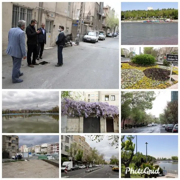 بازدید سرپرست شهرداری منطقه۹ از محلات