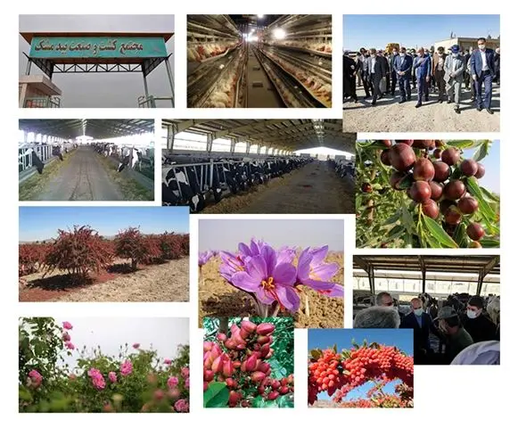 بانک کشاورزی، حامی تولید و کارآفرینان