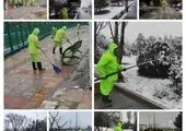 رسیدگی به ۱۴ هزار پیام شهروندی در بارش برف