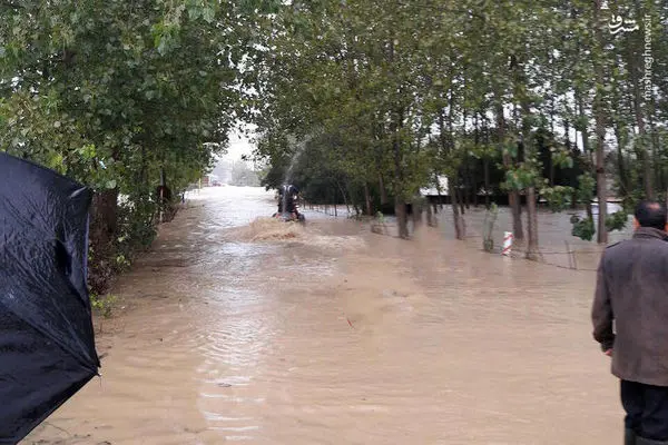 عکس/ در سیل چگونه زنده بمانیم؟