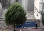 
باران تاثیر زیادی بر بهبود کیفیت هوای تهران ندارد
