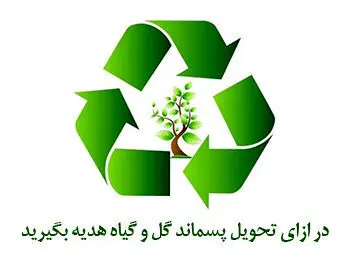 نخستین غرفه گلماند منطقه ۱۳ راه اندازی می شود 

