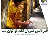 هشدار سازمان حمایت به مرغ فروشان