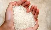 برنج هندی تا ۱۵۰ هزار تومان ارزان شد