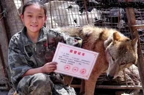 دوستی عجیب یک دختر 10 ساله با گرگ ها! +عکس