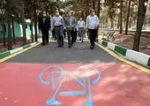 برگزاری لیگ دوچرخه سواری تعادلی در شهرک آموزش ترافیک منطقه 3 


